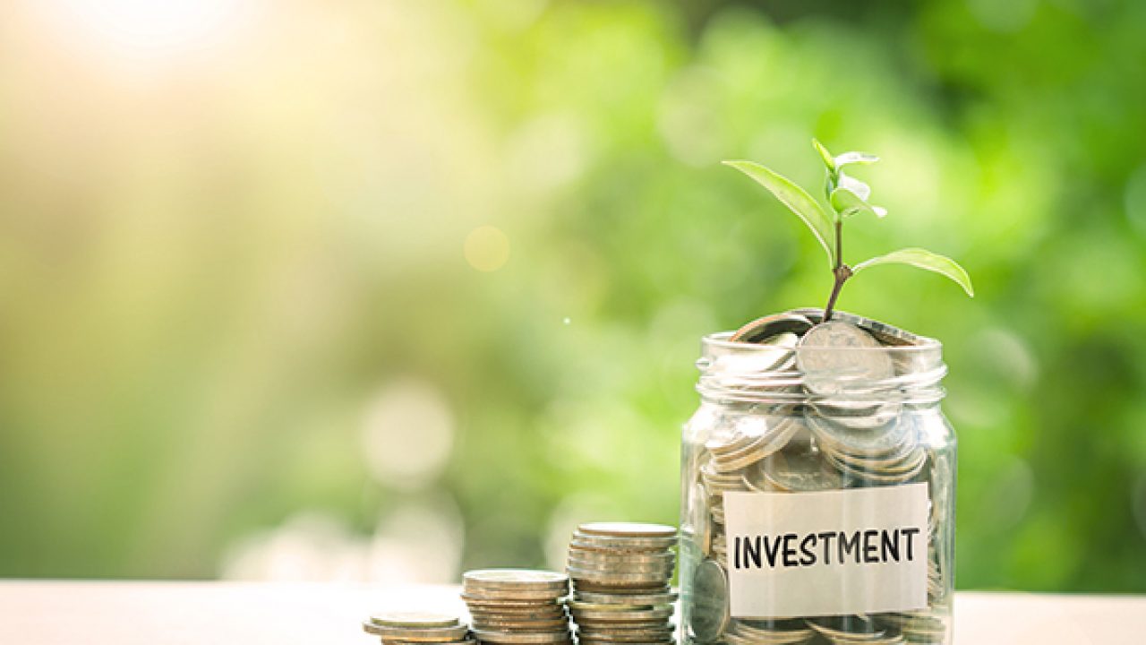 INVESTMENT